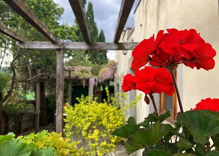 Toppani Del Sodo Villa *