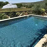 Toppani Del Sodo